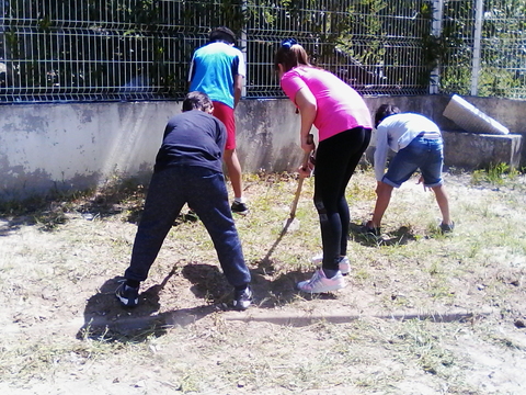 Foto da EB e JI de S. Domingos, do Agrupamento de Escolas Alexandre Herculano. Mostra os alunos com NEE da UEAM, no trabalho de limpeza do terreno, para dar continuidade a outros cultivos hortícolas.